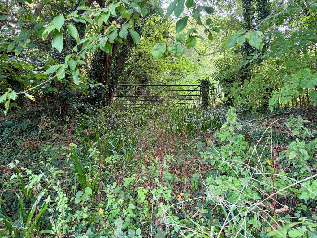 Lot: 2 - FREEHOLD LAND MEASURING APPROX 4.85 ACRES - Gated entrance - view from road